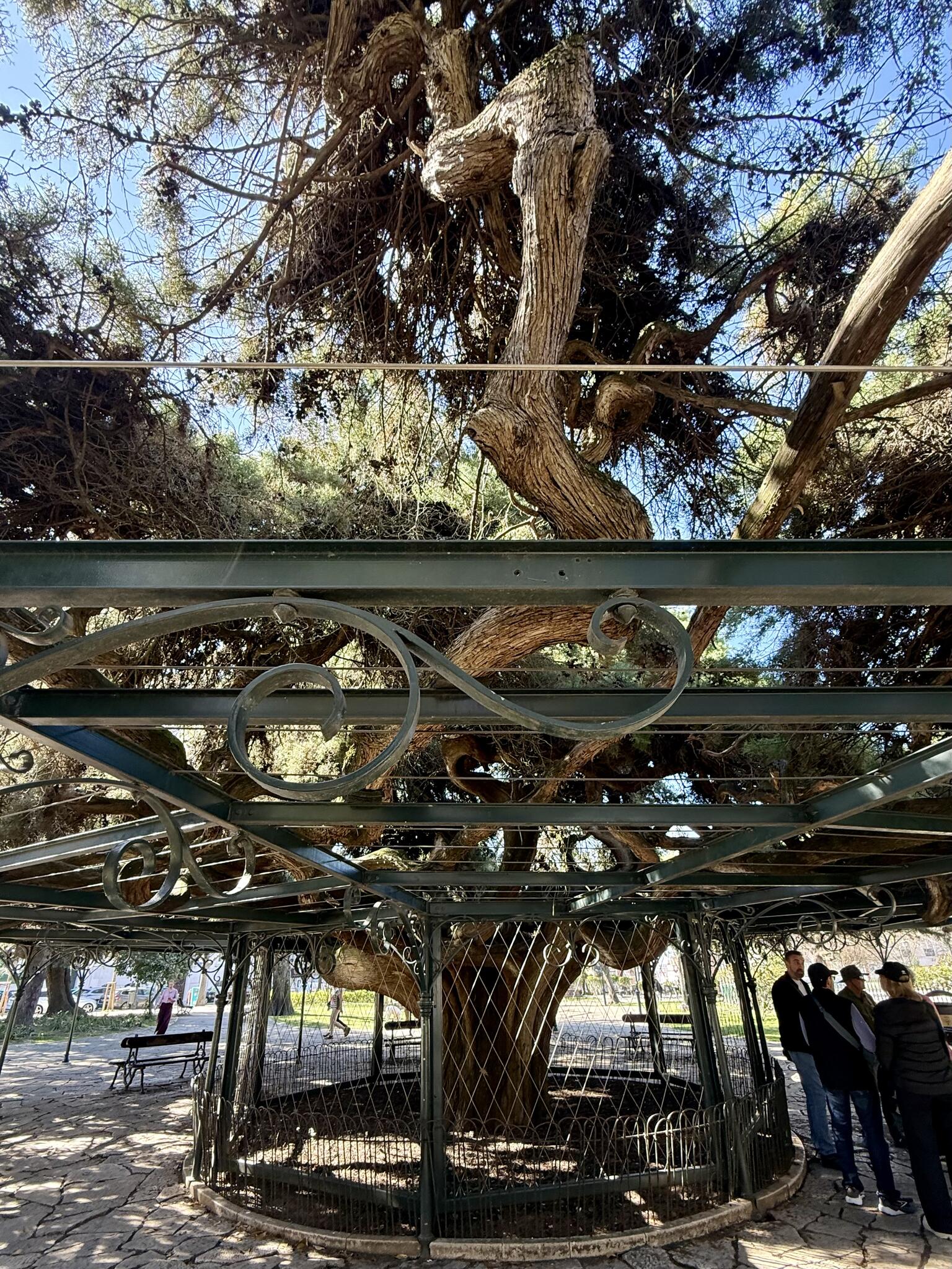 Quartier de Príncipe Real